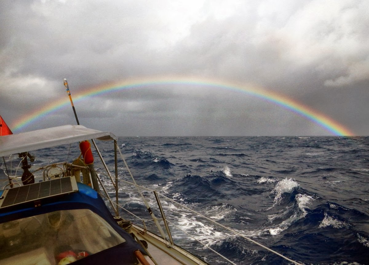 A Speck On The Ocean. Sailing The Pacific With Nadine Slavinski - Books ...