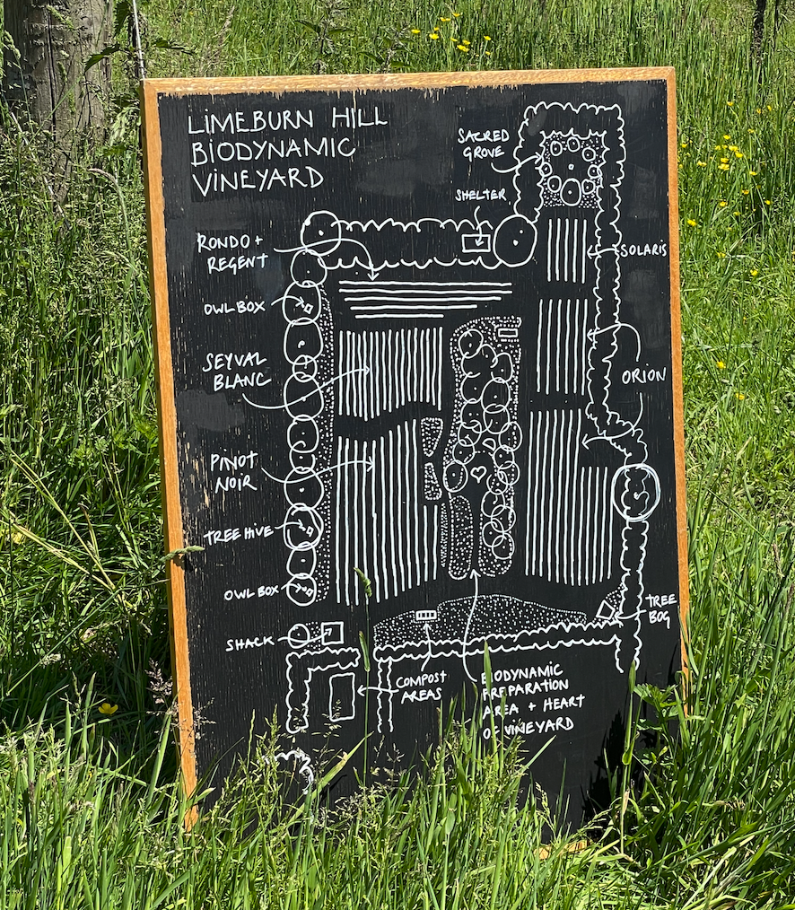 Limeburn Hill Biodynamic Vineyard map